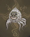洞窟蜘蛛.PNG