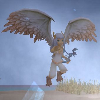 海魔女