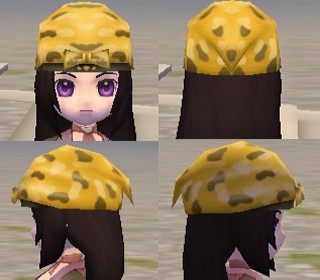 黃色頭巾。.jpg