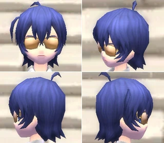 棕色太陽眼鏡〔暫譯〕(♂)