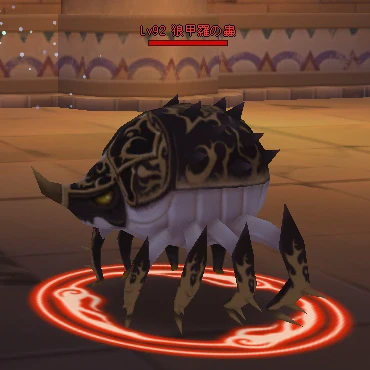狼面甲蟲.jpg