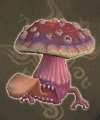 妖眼肉芝.PNG