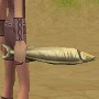 冷凍秋刀魚〔暫譯〕
