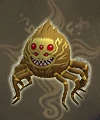 479_金皇毒蛛.PNG