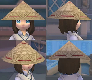 斗笠♀圖